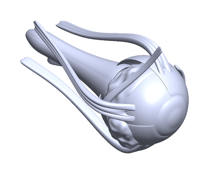 medtech model