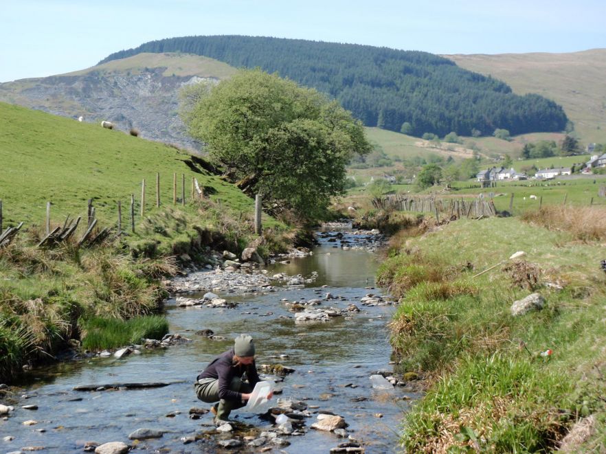 Understanding how to reduce the impact of agriculture at a catchment scale