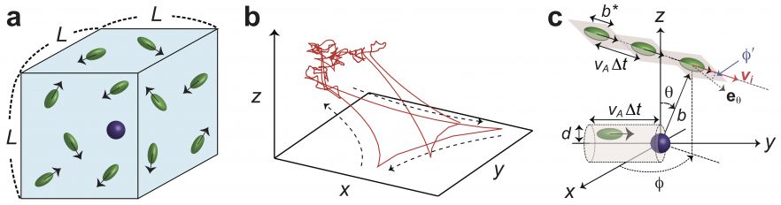 Tracer dynamics of particles in active suspensions (image from K. Kanazawa, T.G. Sano, A. Cairoli, A. Baule, Nature 579, 364 (2020))