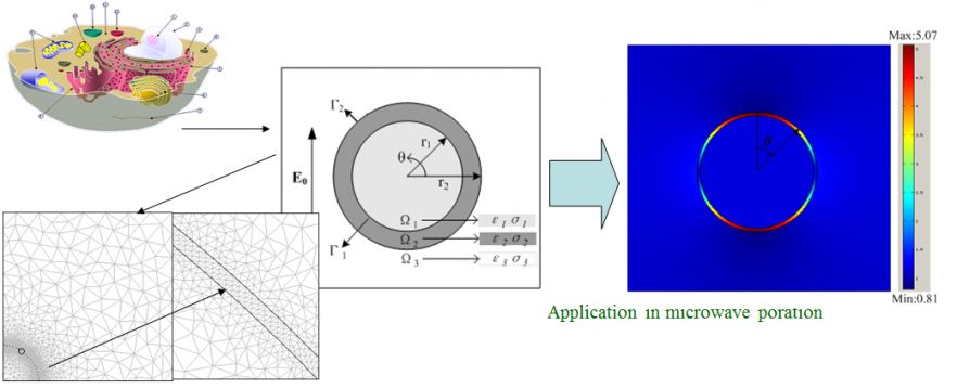 Nano-particles for Microwave-based Medical 