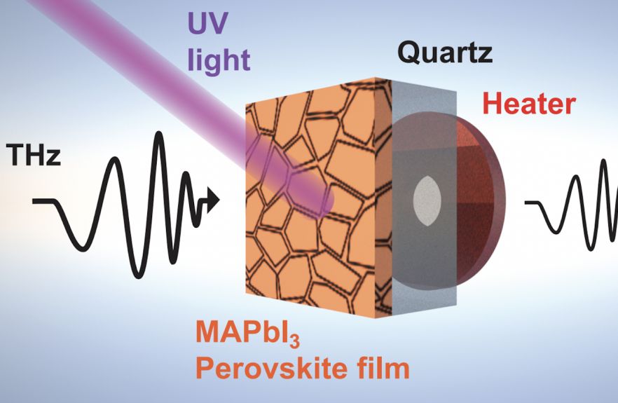 Monitoring of crystallisation process using THz spectroscopy (free-space)