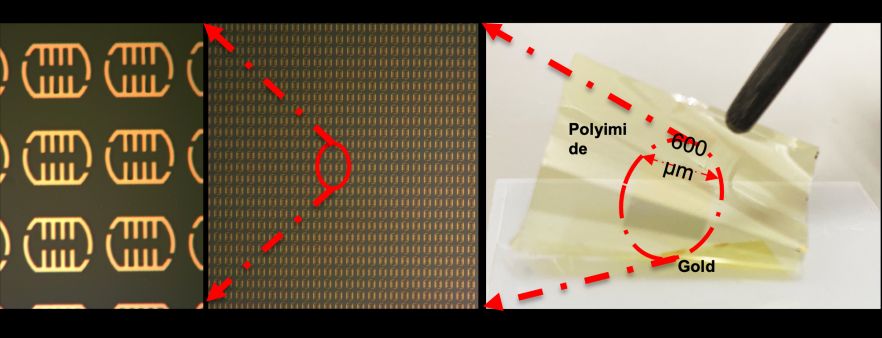 THz Metasurfaces for Non-invasive Biosensing 