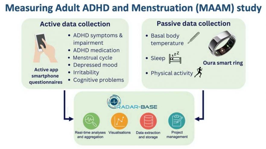 ADHD and menstruation