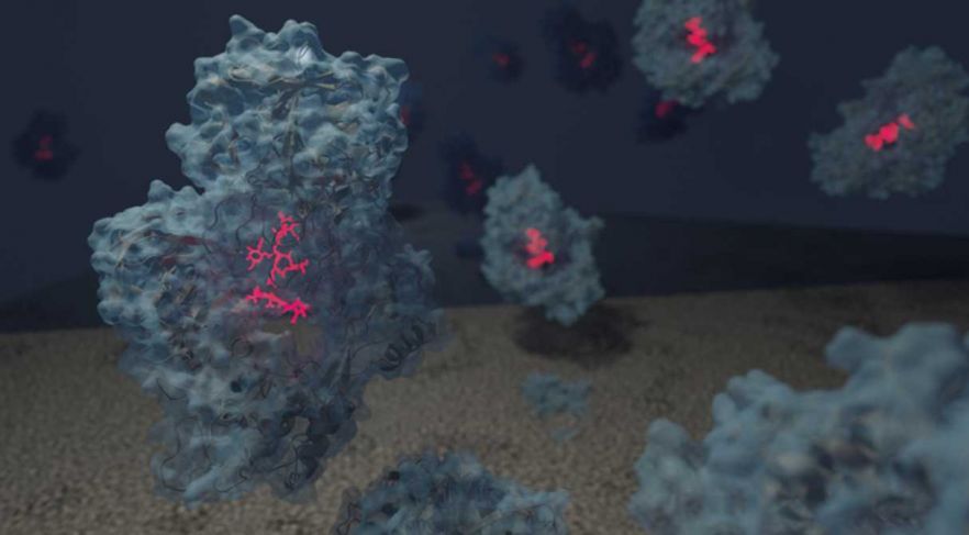 high-resolution CryoEM micrograph of Ssle particles