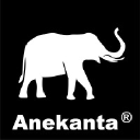 Anekanta AI and Anekanta Consulting