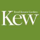 Royal Botanical Gardens (KEW)