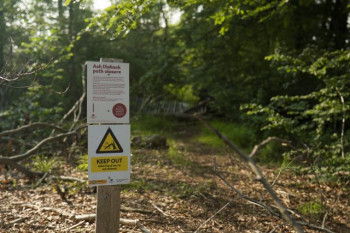 Ash-dieback signpost in Marden Park wood (Credit: Paul Figg, Kew Gardens)