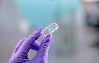 Queen Mary launches world's first masters degree in organ-on-a-chip technology