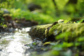 Freshwater methane emissions maximised by global warming A fresh water stream (adobe free stock)