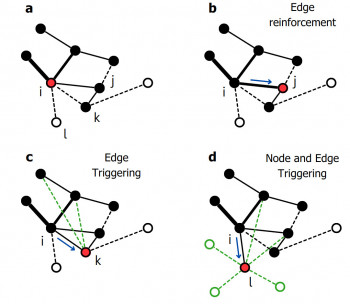 Illustration of the basic processes in the mathematical network model for discovery