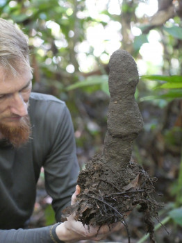 Lead author Jiri Tuma with a Dicuspiditermes termite mound.
